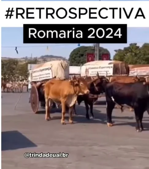 Boletim Lauro Ferreira – Romaria de Trindade 2024