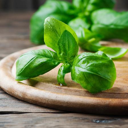 Chá de manjericão – Beneficios e modo de fazer.