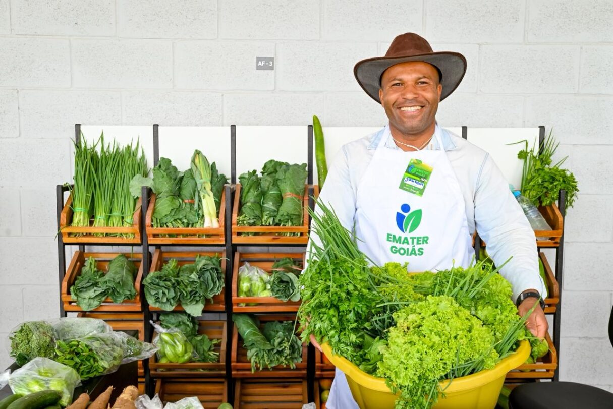 Comerciantes aprovam nova estrutura do Mercadão de Águas Lindas
