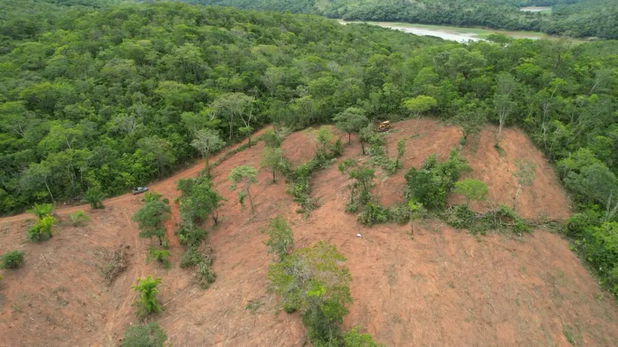 Desmatamento em Goiás tem maior redução desde 2001