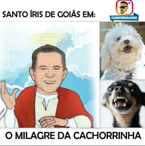 O milagre da cachorrinha