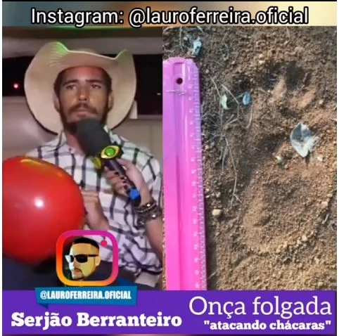 Serjão Berranteiro – Onça Folgada