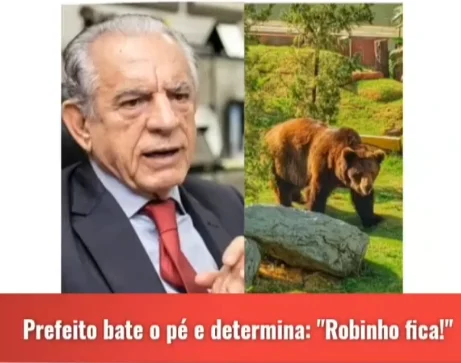 Urso Robinho fica no Horto